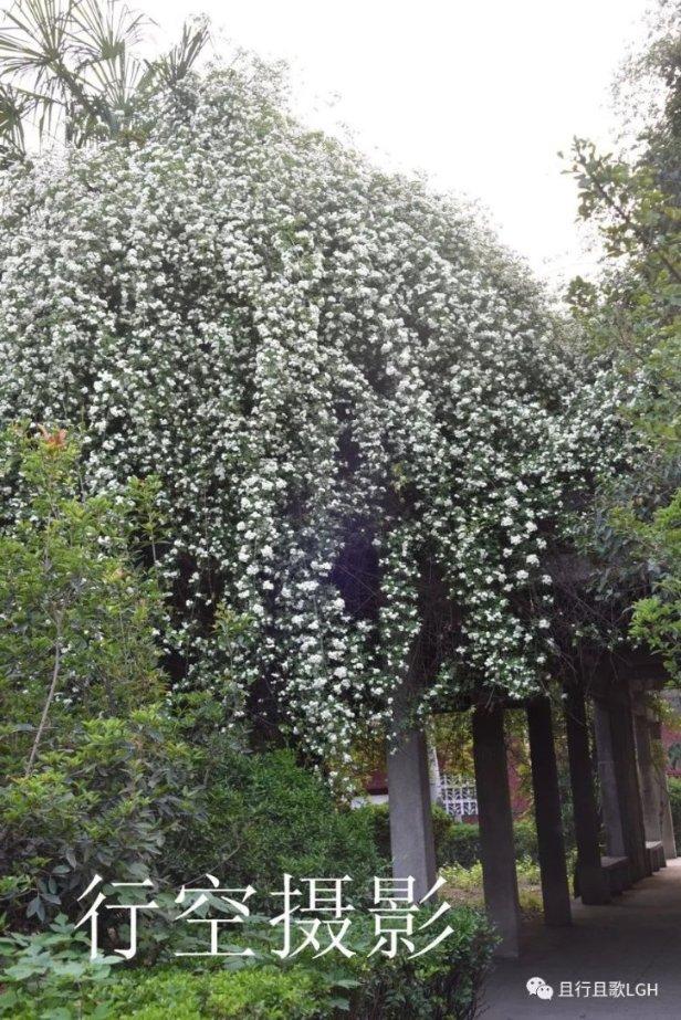 天下真有免费的午餐吗？游戏画面