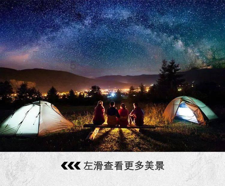 小猫钓鱼游戏龙王版有船